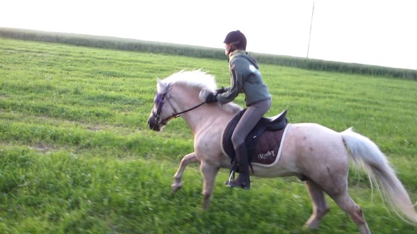 Rocky und Meli Rocky und Meli