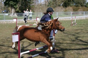 Shetty Sport Insel Mainau am Bodensee