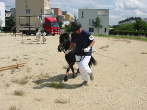 Shetty Sport in Ostfildern