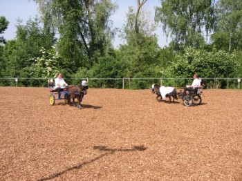 Showauftritt Kromerhof 2009 Showauftritt Kromerhof 2009