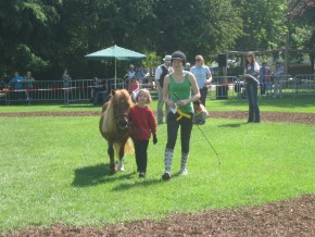 Chipsy geführt von Jule 1.Platz Chipsy geführt von Jule 1.Platz