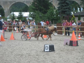 Freya mit Maximilian in der Geschicklichkeitsprüfung