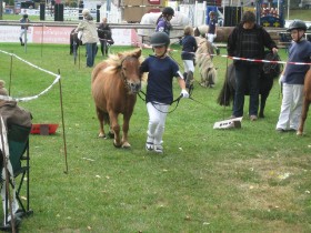 Sinem mit Maximilian auf der Trabstrecke Sinem mit Maximilian auf der Trabstrecke