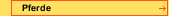 Pferde