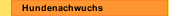 Hundenachwuchs