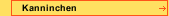 Kanninchen