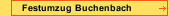 Festumzug Buchenbach